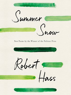 cover image of Summer Snow